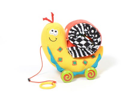 Dolce Toys Pull Along Colour Snail Online Hot Sale