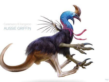 Aussie Griffin Print Cheap