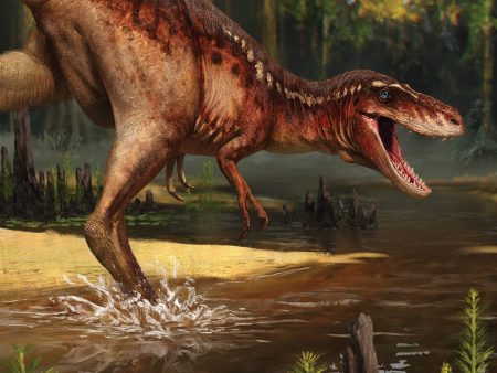 Beasts of the Mesozoic Juvenile T. rex Print For Sale