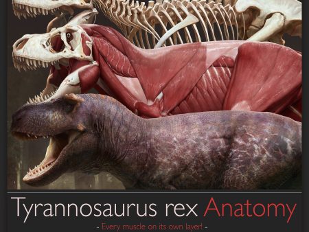 Tyrannosaurus rex Anatomy Fashion